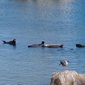 Meet your Posher, Stacie